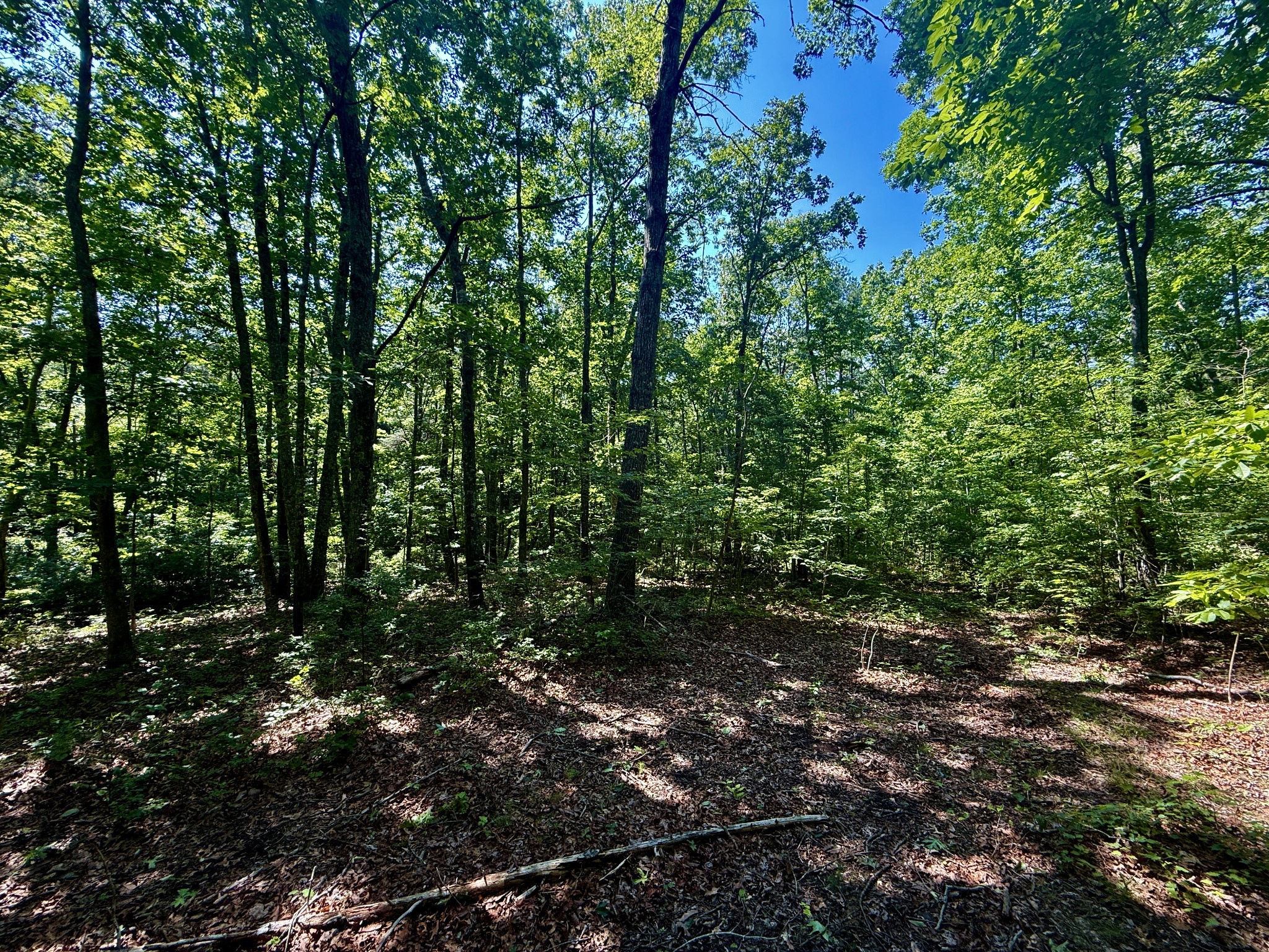 1 Teludachee Trail Guild, TN 37340 - Photo 8 of 15