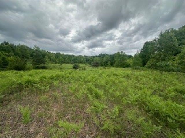 V/l McKinney Road Central Lake, MI 49622 - Photo 5 of 29