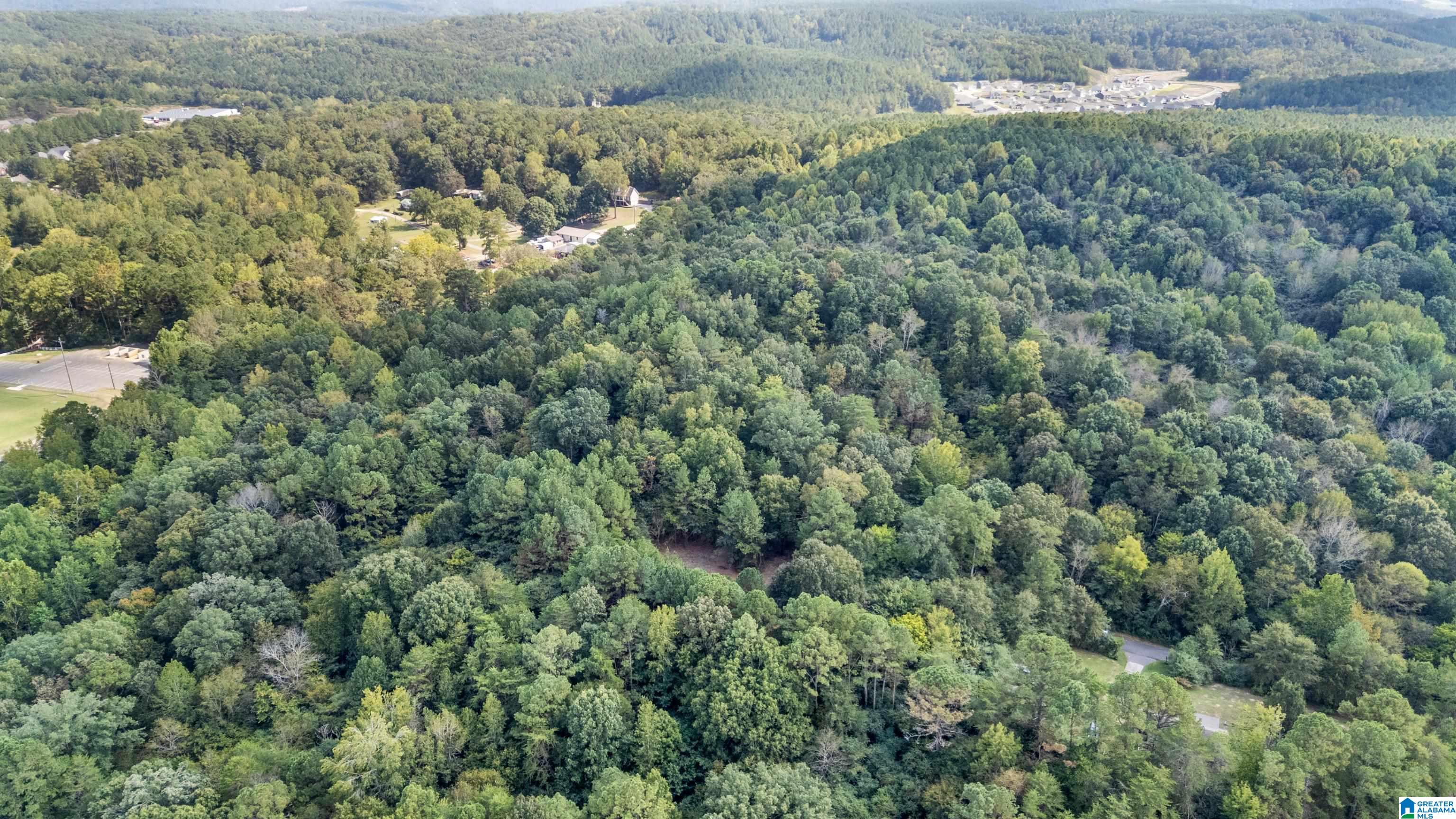 4339 Pine Ridge Road, Unit 1 Mount Olive, AL 35117 - Photo 5 of 34