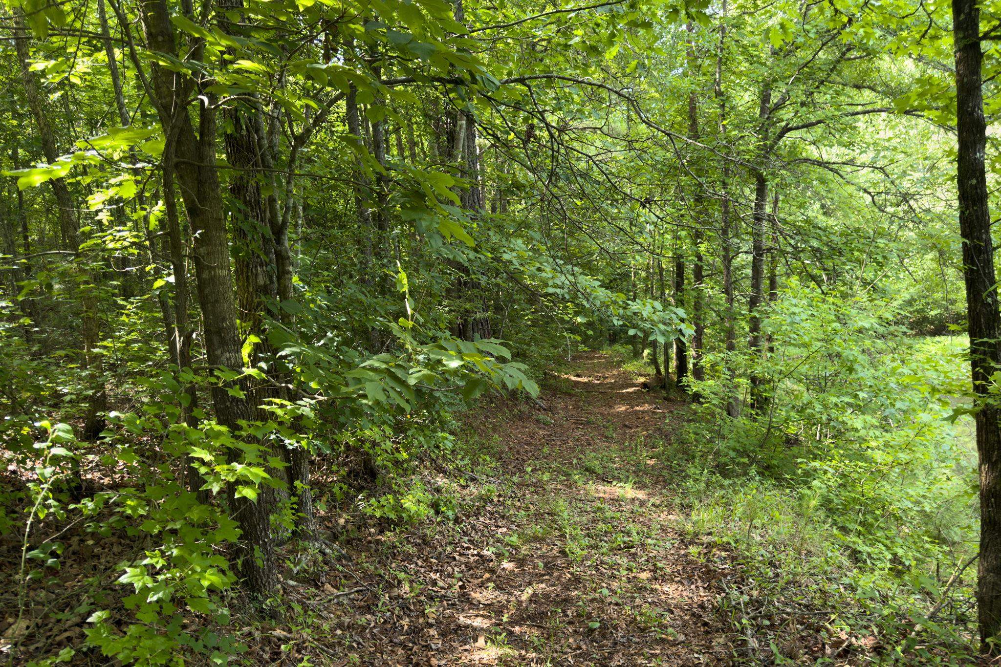 Tbd Melvin Hill Road Campobello, SC 29322 - Photo 23 of 29
