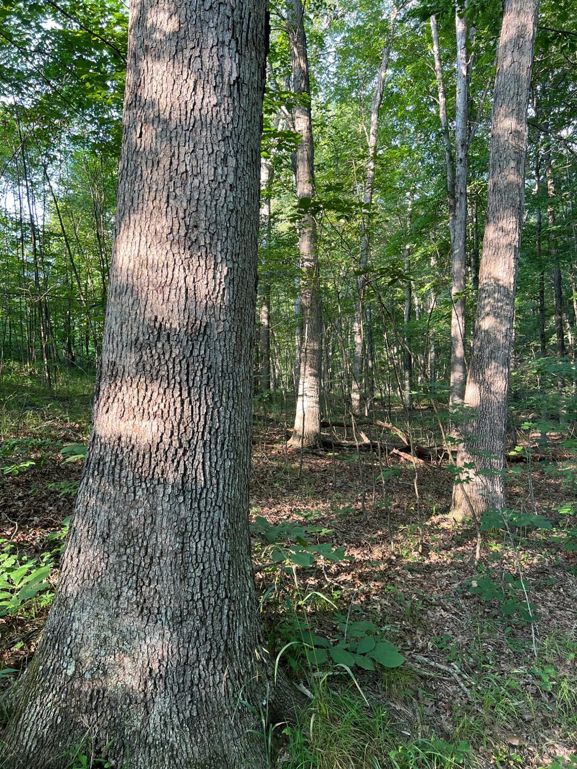 0 Tabernacle Road Chillicothe, OH 45601 - Photo 34 of 64