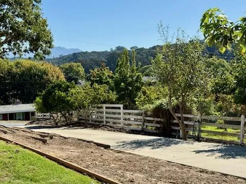 a view of a yard with an trees