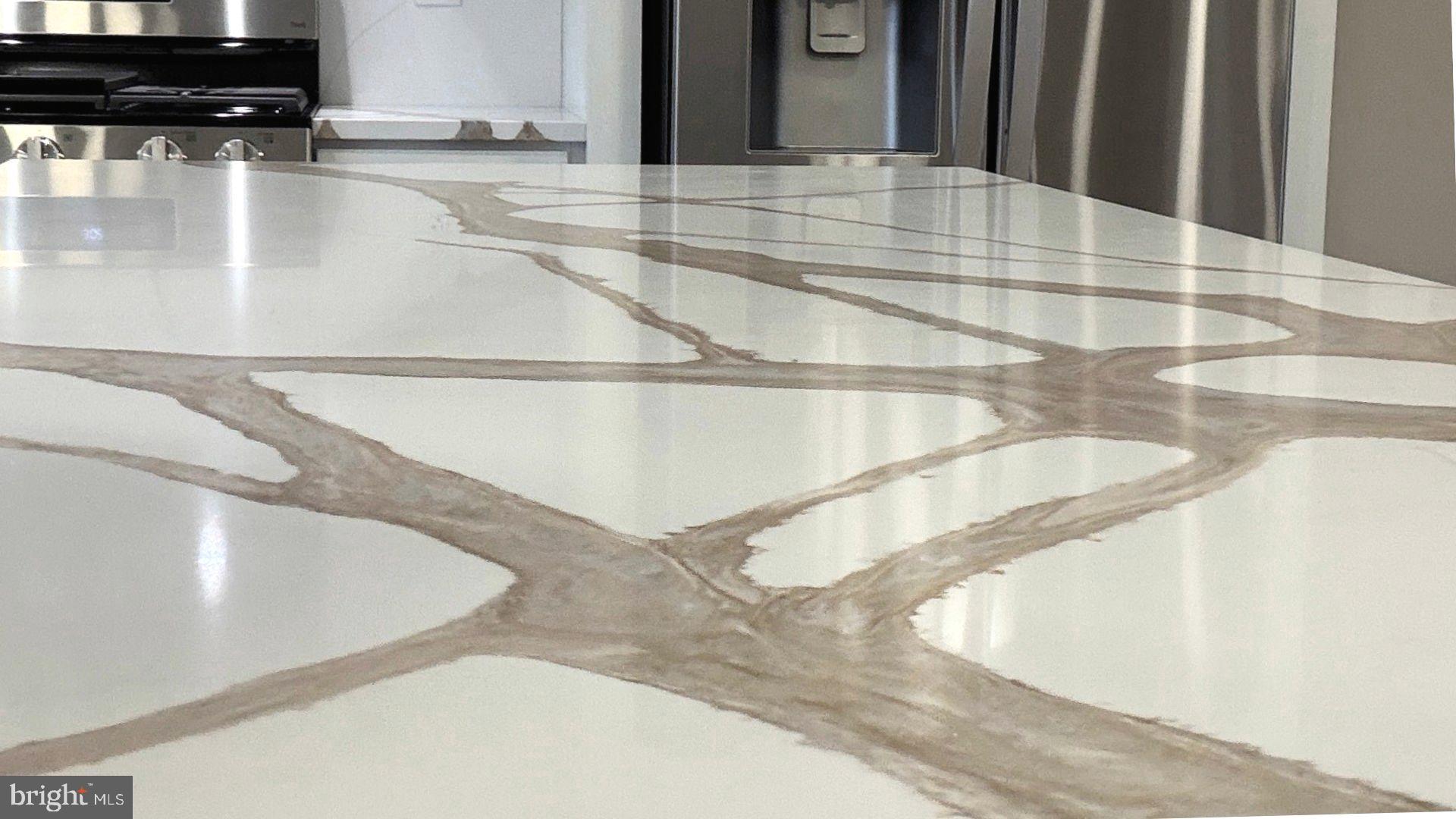 106 Palmer Road Pennington, NJ 08534 - Photo 12 of 42 Quartz counters