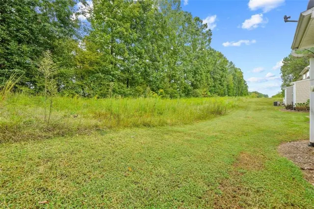 a view of yard with green space
