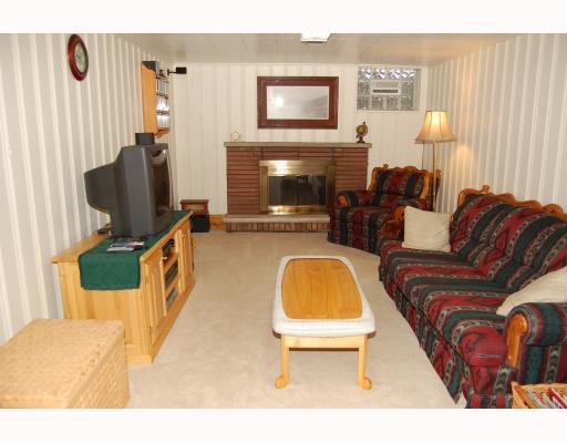 1561 West Ingomar Road Franklin Park, PA 15237 - Photo 9 of 14 Den/Family/Great Room. finished lower level with a fireplace and tons of extra storage