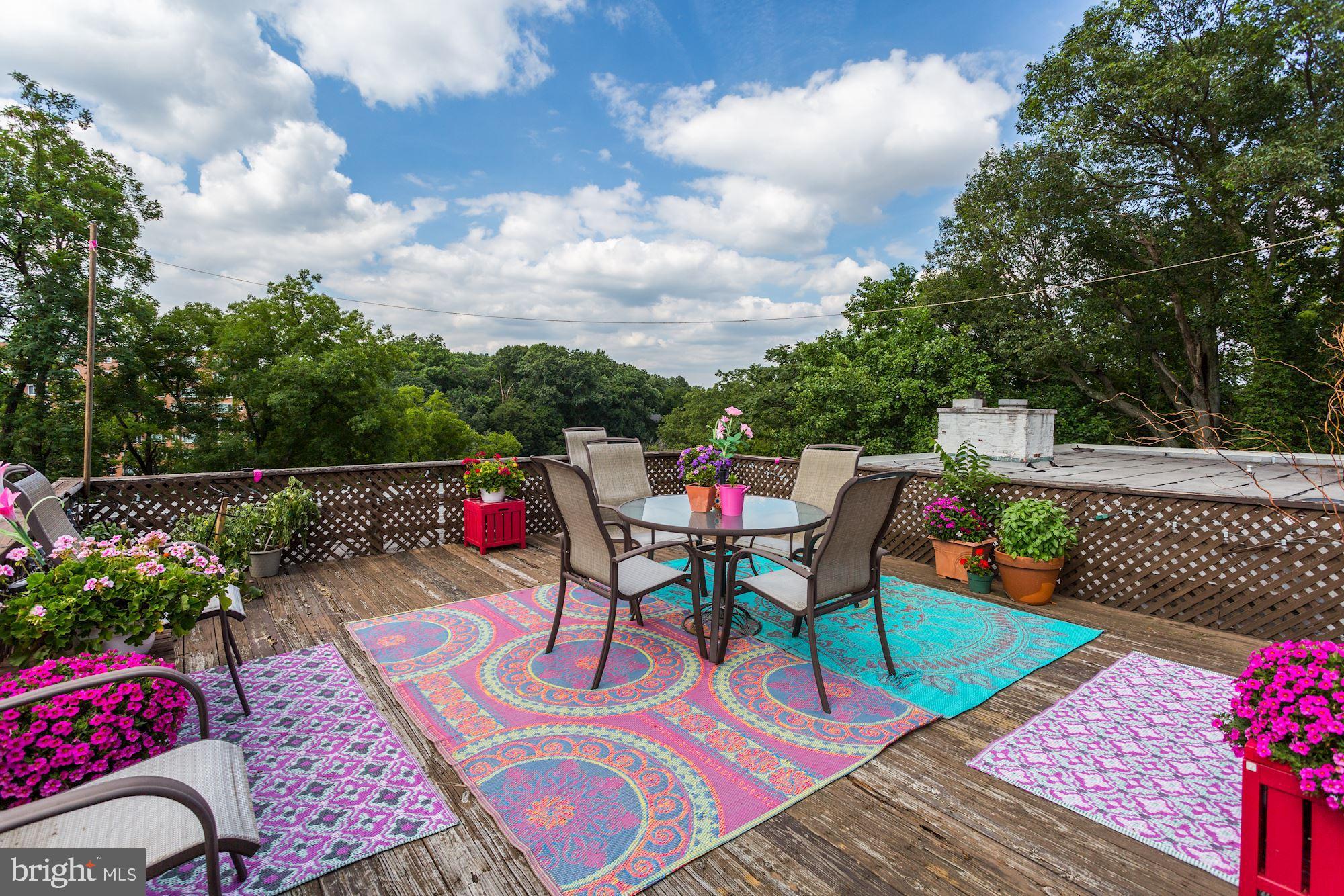 2711 Ordway Street Northwest, Unit 303 Washington, DC 20008 - Photo 28 of 37 Adorable Community Roof Deck