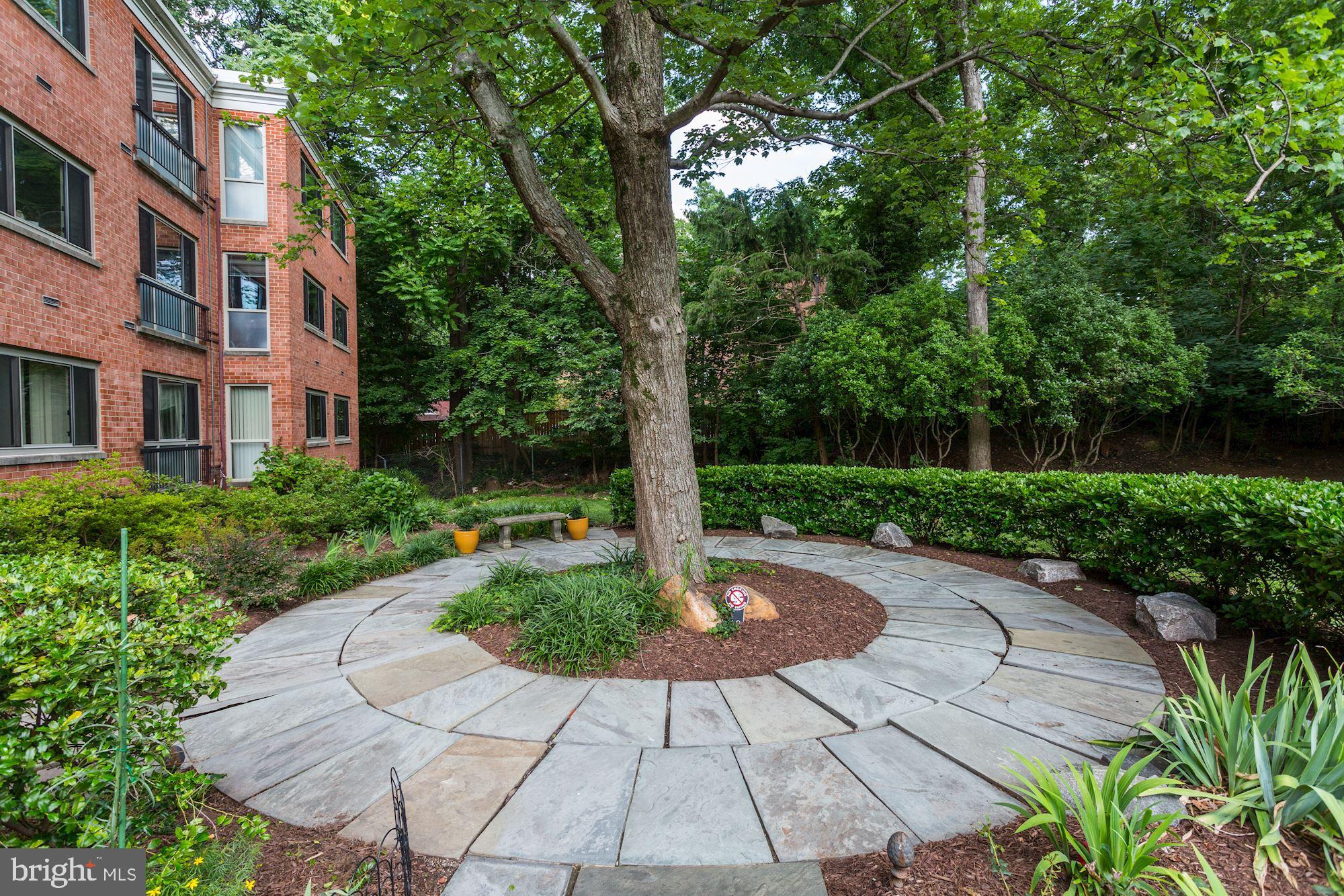 2711 Ordway Street Northwest, Unit 303 Washington, DC 20008 - Photo 30 of 37 Front Yard Views