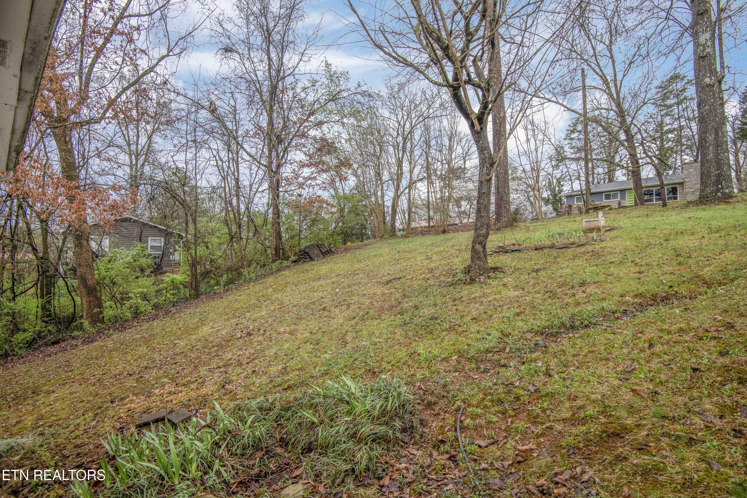 5814 Blossom Road Knoxville, TN 37912 - Photo 12 of 52 Yard