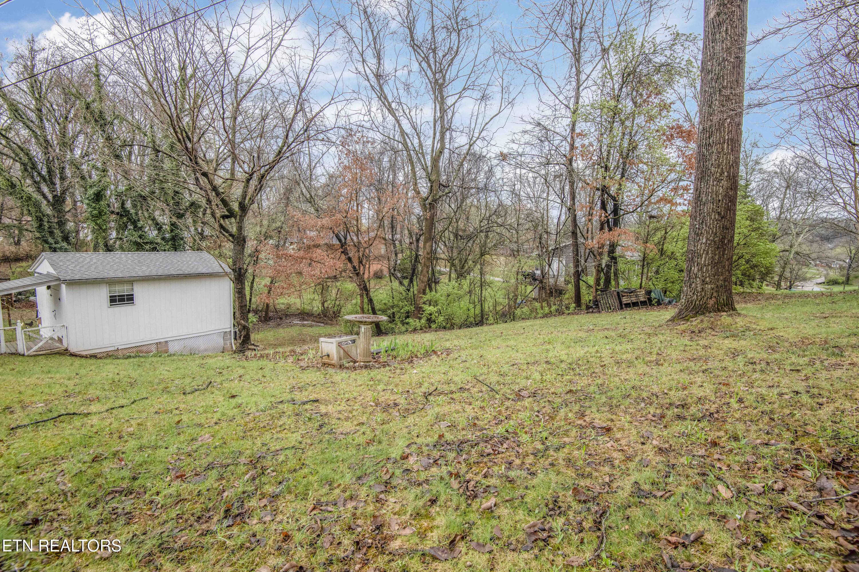 5814 Blossom Road Knoxville, TN 37912 - Photo 13 of 52 Right Side of Yard