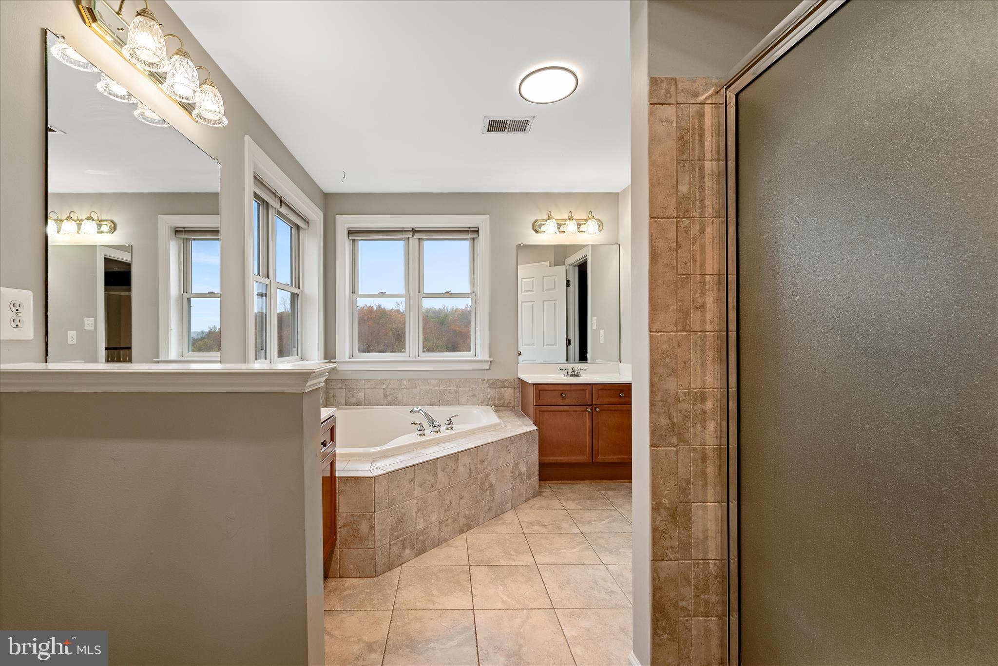 5194 Beach Ridge Lane Amissville, VA 20106 - Photo 44 of 94 Primary Bathroom