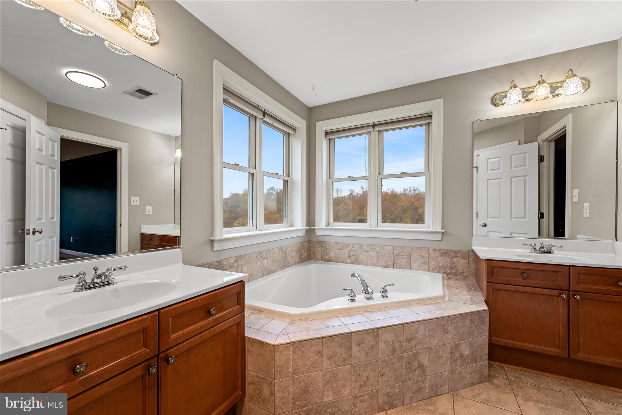 5194 Beach Ridge Lane Amissville, VA 20106 - Photo 46 of 94 Primary Bathroom