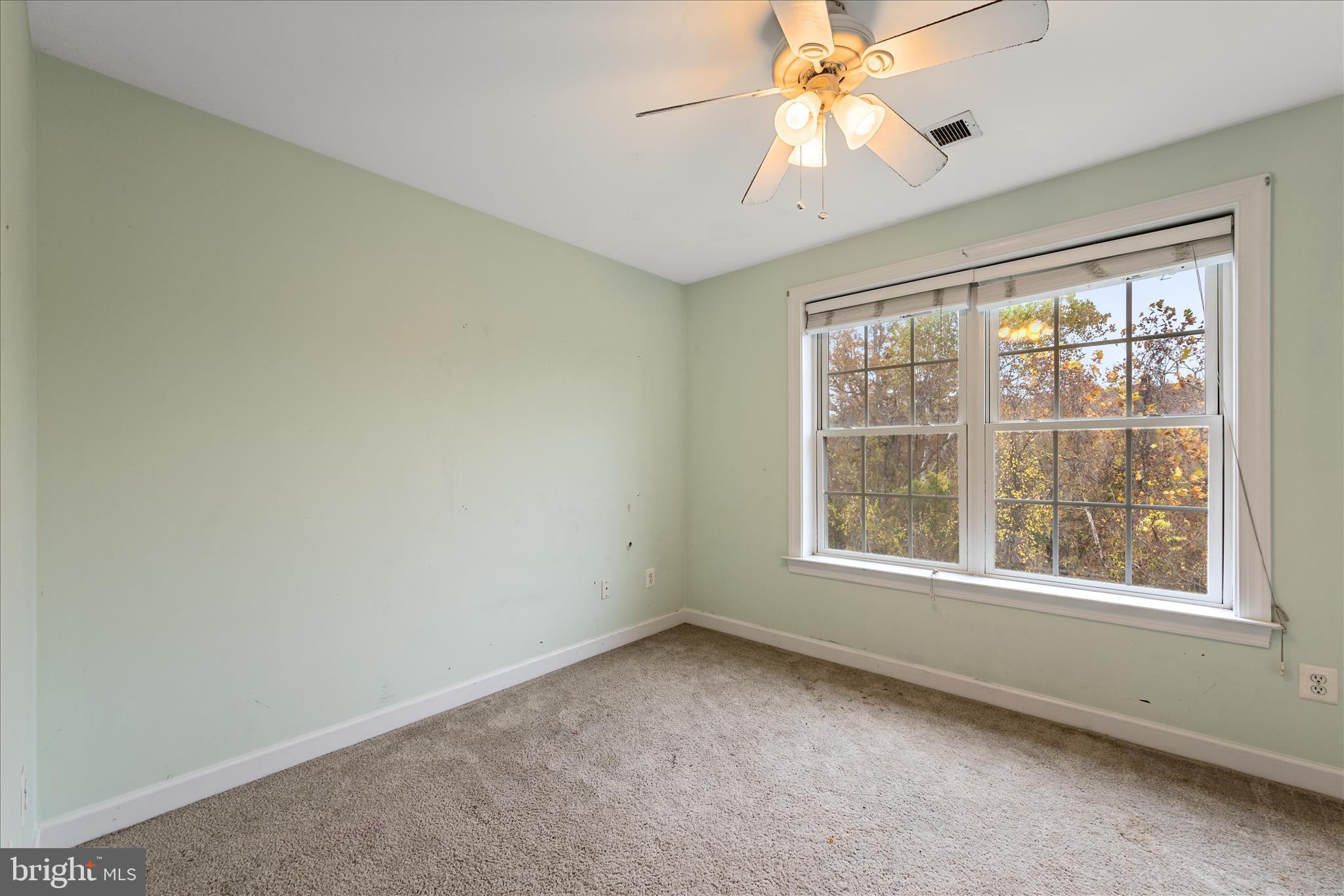 5194 Beach Ridge Lane Amissville, VA 20106 - Photo 52 of 94 Bedroom