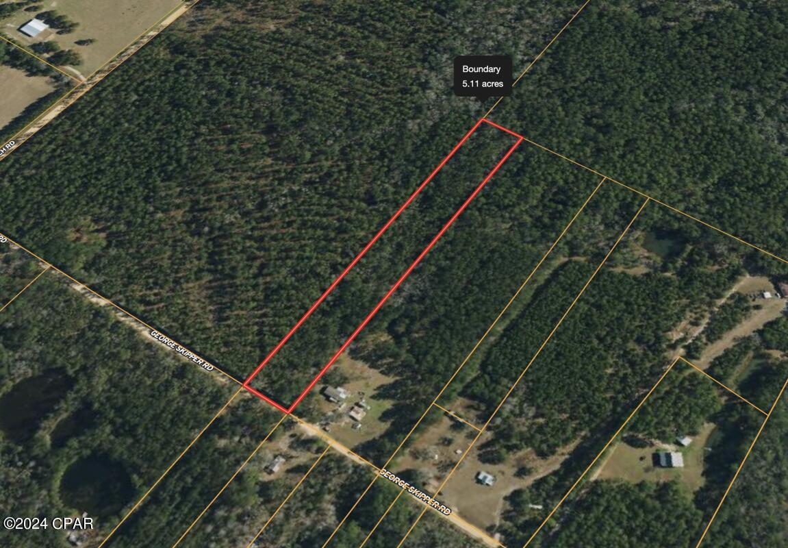 0 Skipper Road Vernon, FL 32462 - Photo 1 of 12