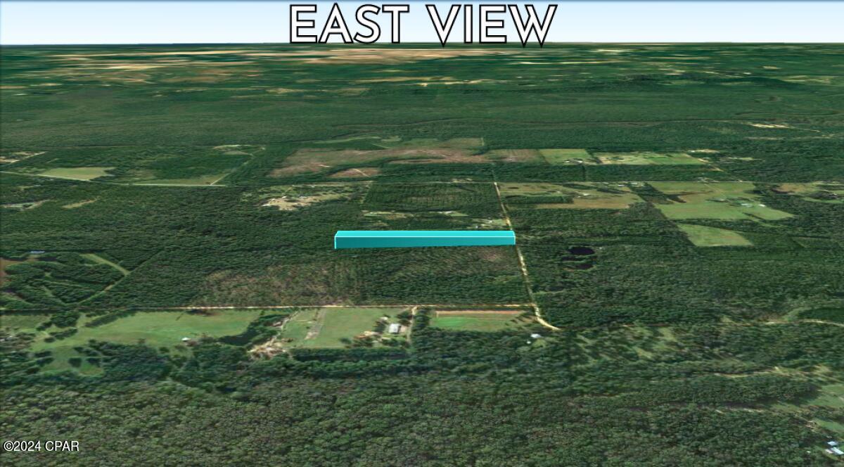 0 Skipper Road Vernon, FL 32462 - Photo 11 of 12