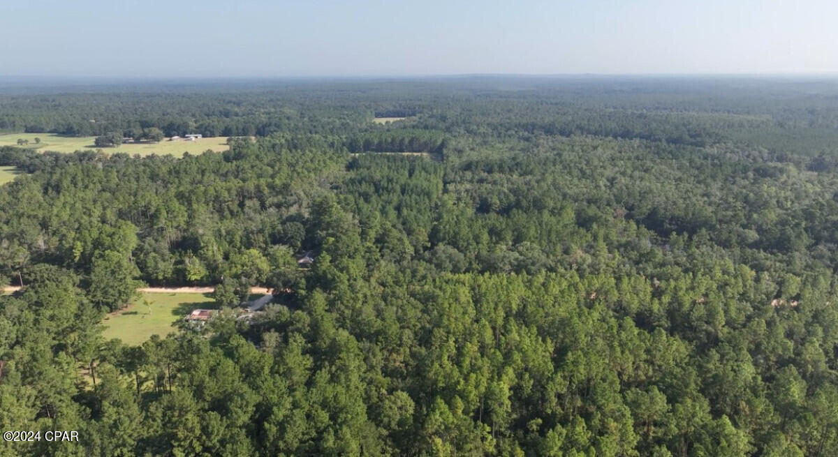 0 Skipper Road Vernon, FL 32462 - Photo 12 of 12