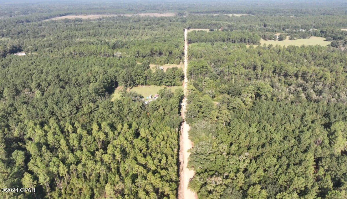 0 Skipper Road Vernon, FL 32462 - Photo 4 of 12