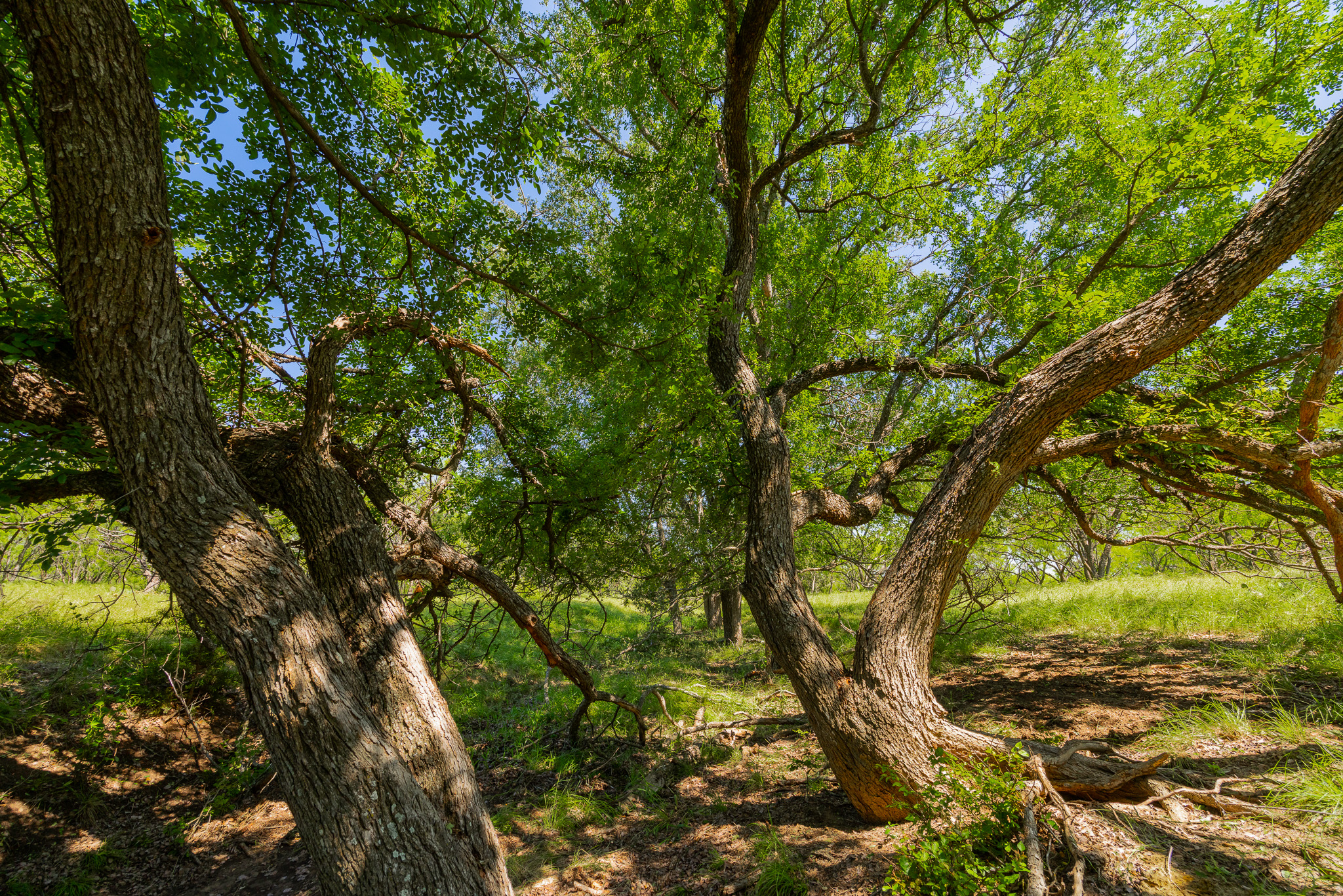 180 Rd Purmela Tx 76566 Road Purmela, TX 76566 - Photo 1 of 27 Gallery Image 1
