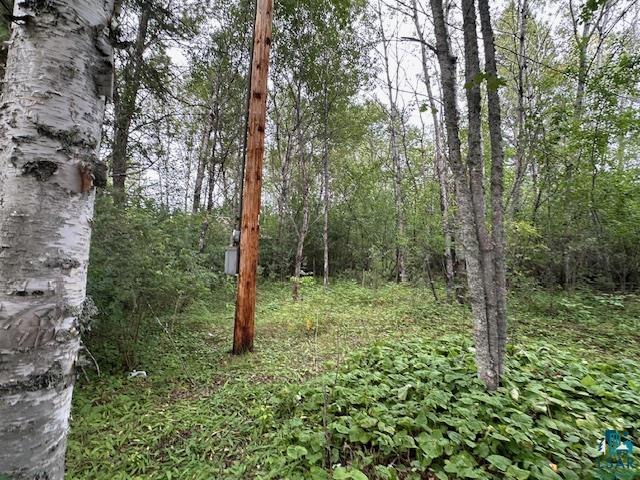 Xxx Xxx Victor Lake Road Biwabik, MN 55708 - Photo 1 of 19 View of local wilderness