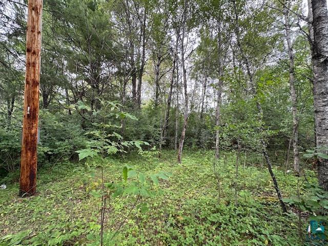 Xxx Xxx Victor Lake Road Biwabik, MN 55708 - Photo 12 of 19 View of nature