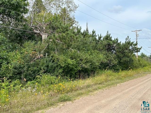 Xxx Xxx Victor Lake Road Biwabik, MN 55708 - Photo 4 of 19 View of road