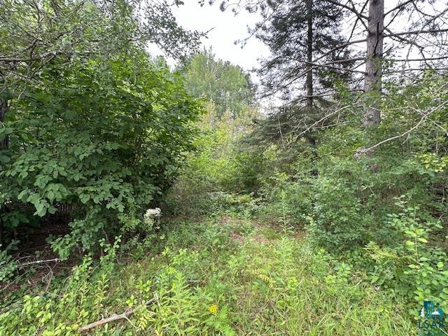 Xxx Xxx Victor Lake Road Biwabik, MN 55708 - Photo 8 of 19 View of nature