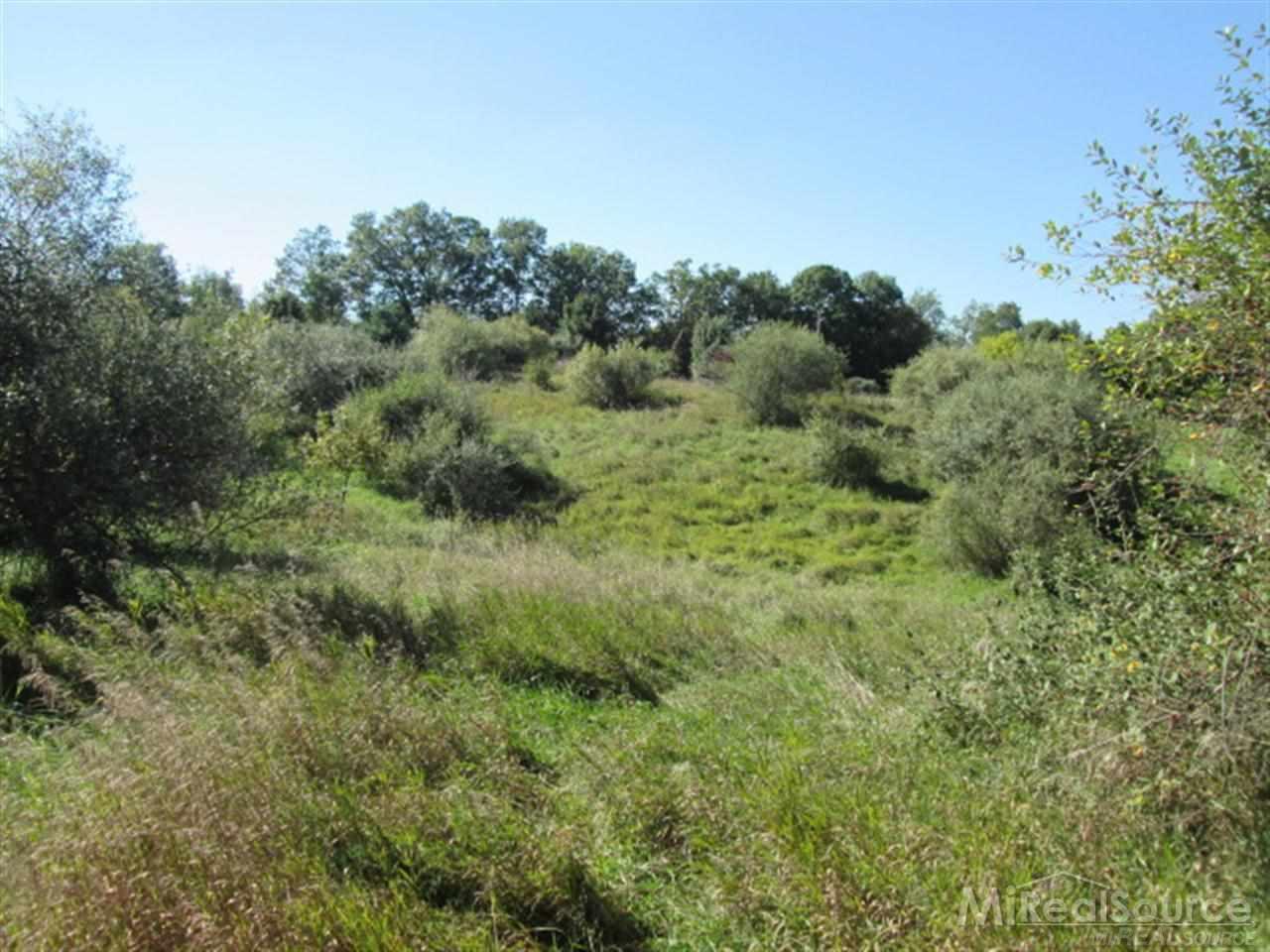 65338 Dequindre Road Washington, MI 48095 - Photo 18 of 28