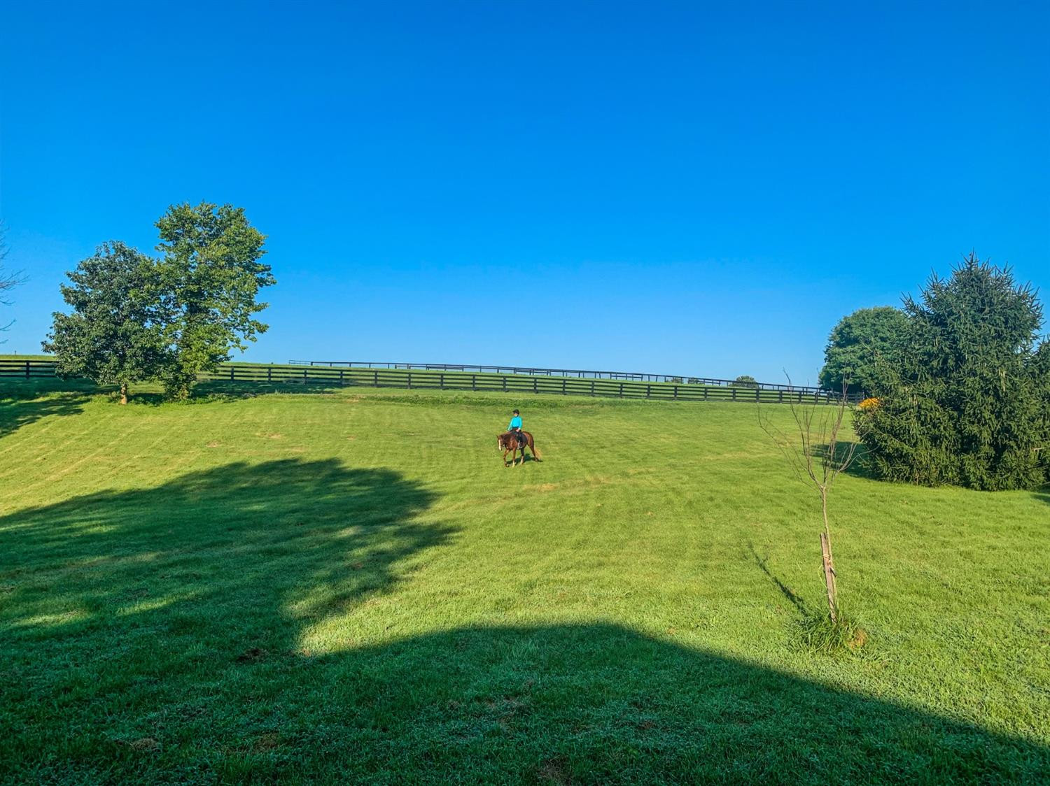 964 Galloway Road Stamping Ground, KY 40379 - Photo 19 of 53 Photo 19