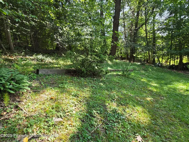 a view of a lush green space