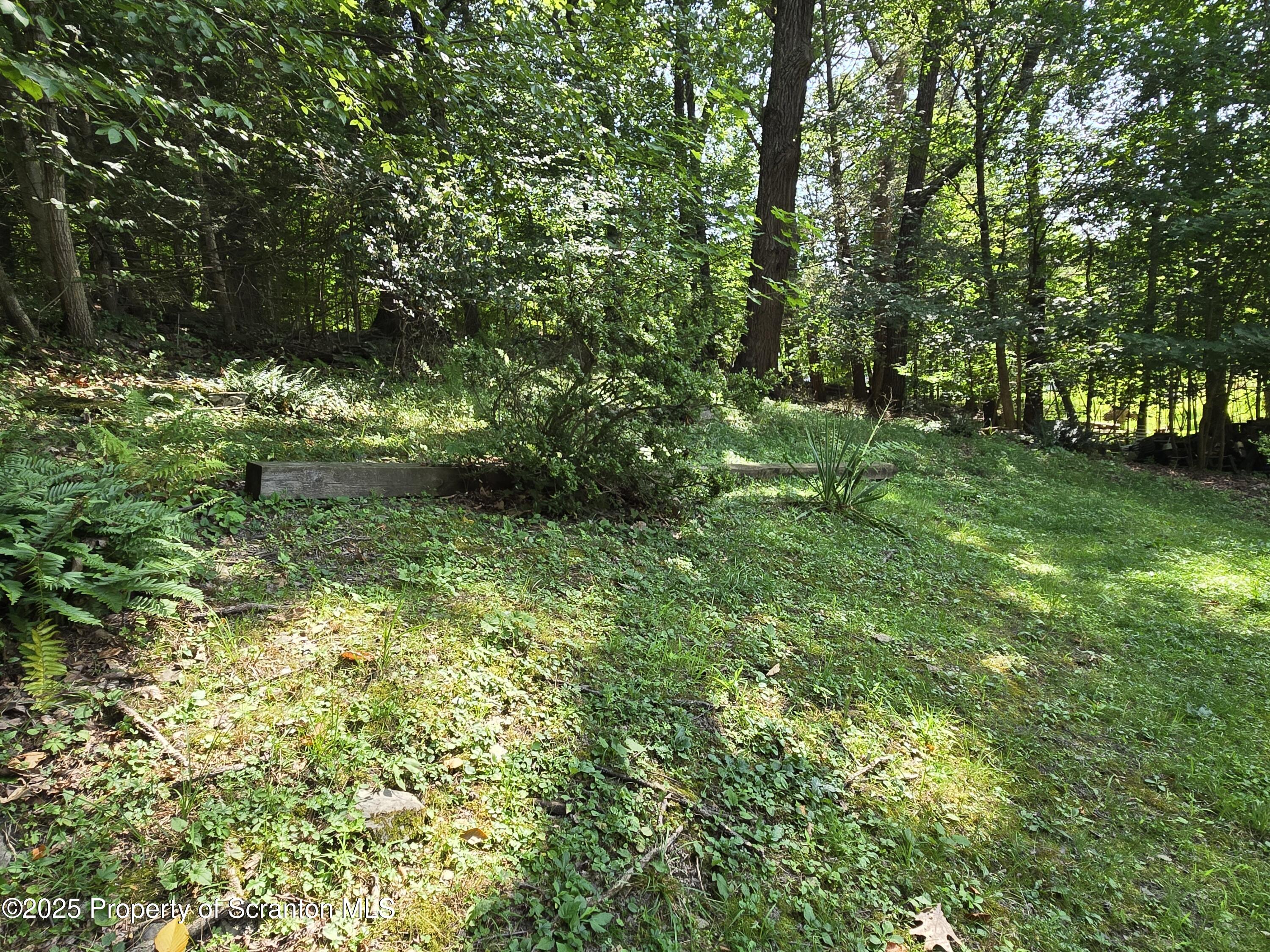 134 Chestnut Street Factoryville, PA 18419 - Photo 9 of 33 a view of a lush green space