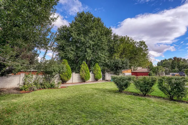 a view of a backyard