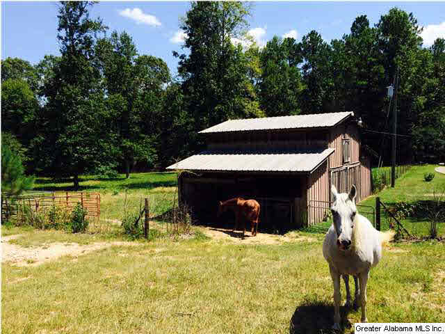 2335 Holmans Cross Road Sylacauga, AL 35150 - Photo 3 of 16