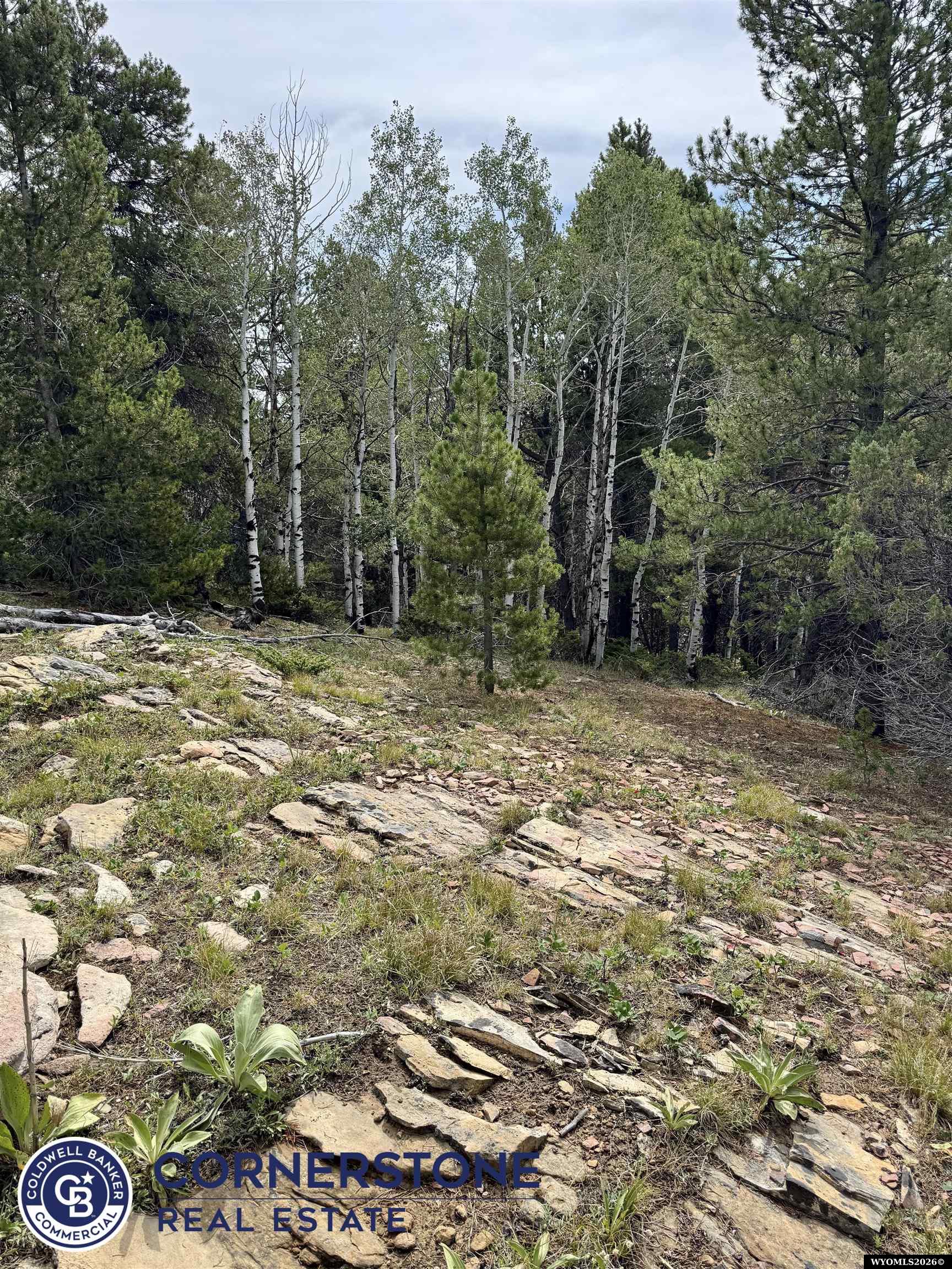 Lot 620 Starwallow Road, Unit 6 Casper, WY 82601 - Photo 12 of 16 Gallery Image 12
