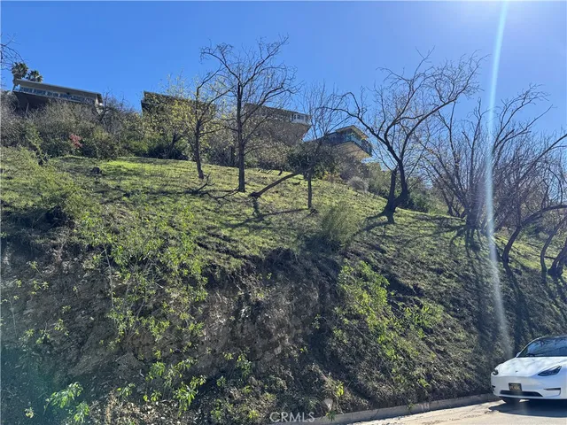 a view of a park with a tree