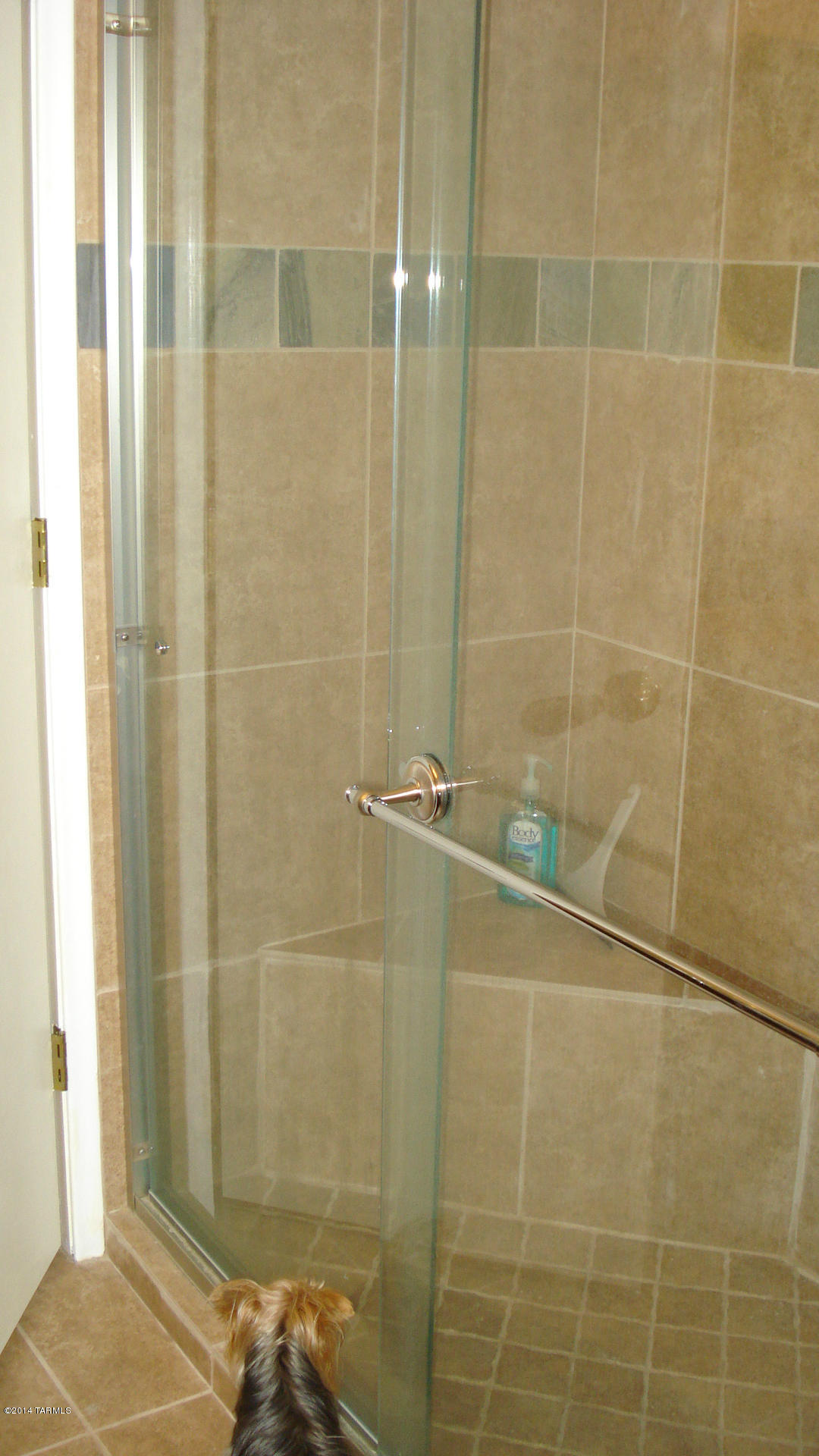 681 West Kidd Place Tucson, AZ 85737 - Photo 13 of 14