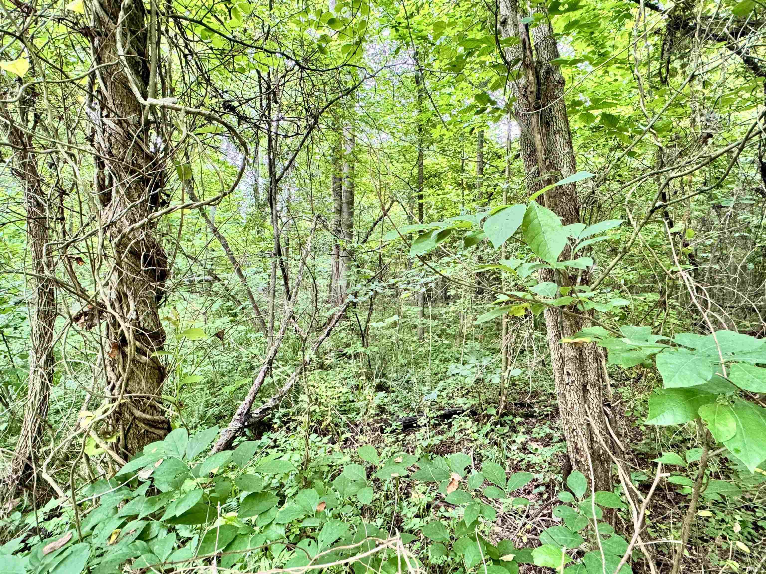 State Road Shoals, IN 47581 - Photo 23 of 25