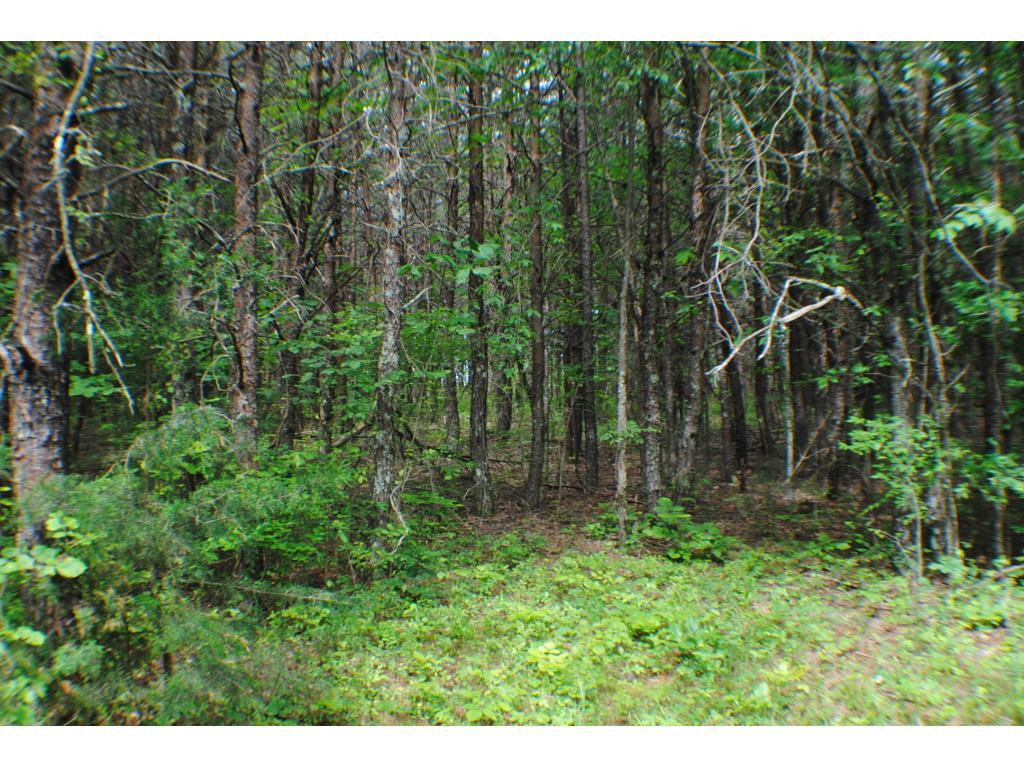 0 Green Level Church Road Burlington, NC 27217 - Photo 1 of 1 Photo 1