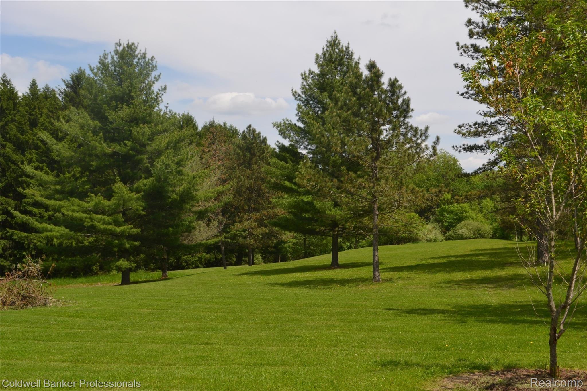 1217 Lake Nepessing Road Lapeer, MI 48446 - Photo 30 of 40 DSC_0071.JPG