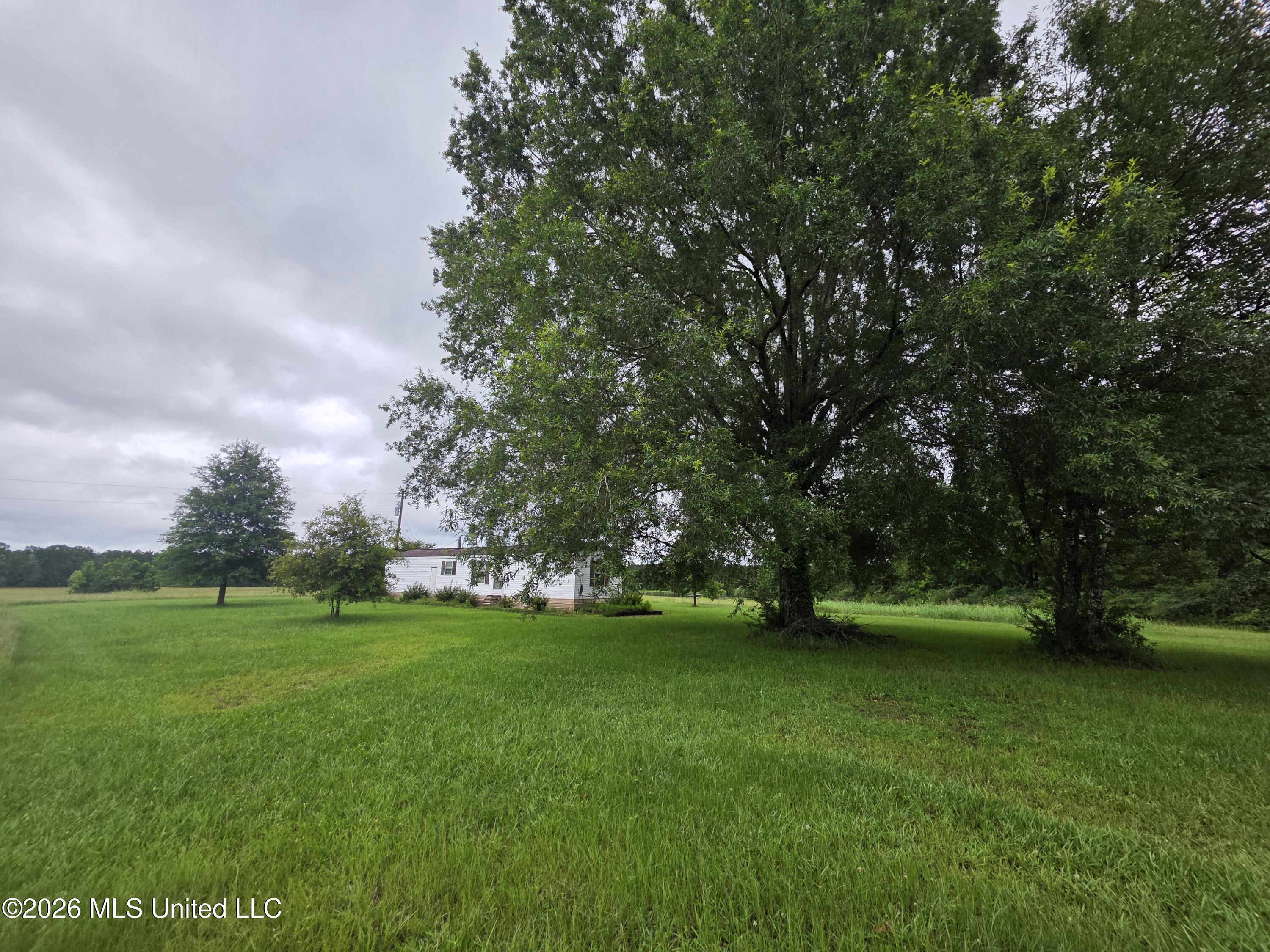244 Foster Road Sontag, MS 39665 - Photo 36 of 105 35435