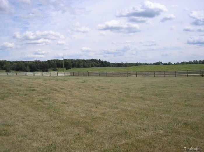 Treasurer Rd view of the land