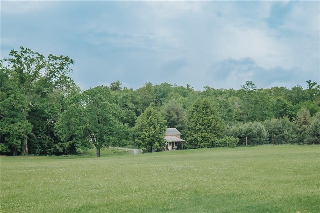 2428 Arcadia Road Cherry Tree, PA 15724 - Photo 11 of 48