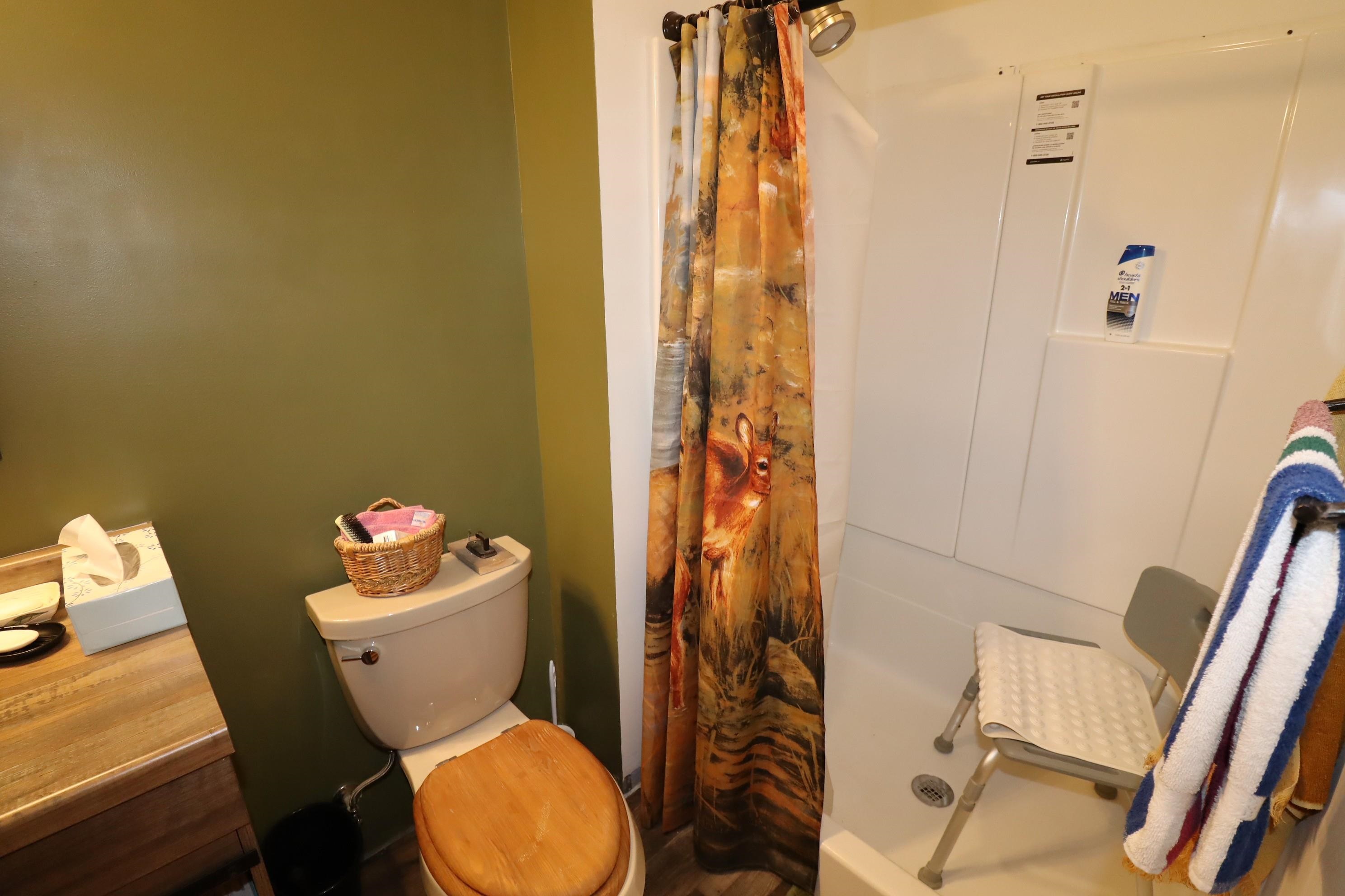 62543 Hegstrom Road Ashland, WI 54806 - Photo 19 of 30 Walk-In Shower