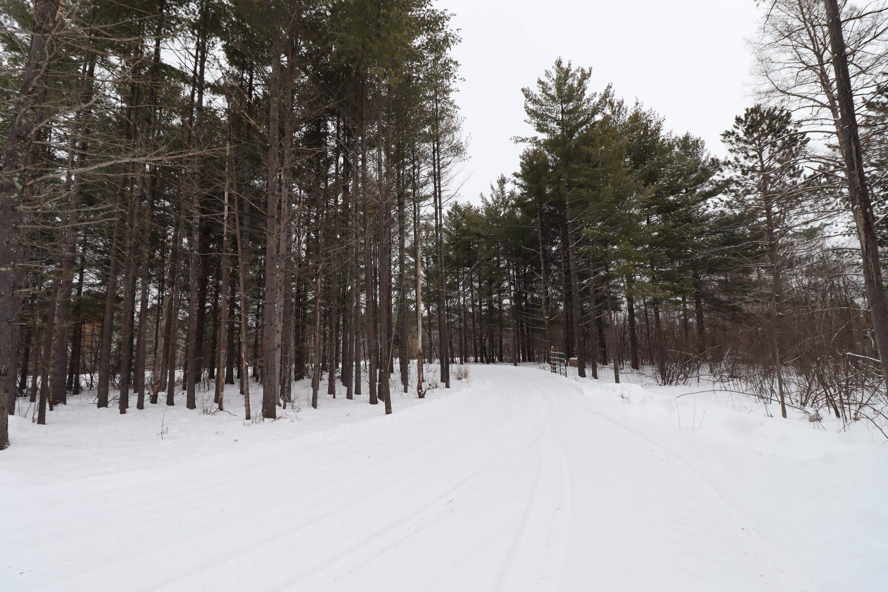 62543 Hegstrom Road Ashland, WI 54806 - Photo 28 of 30 Tree Lined Drive