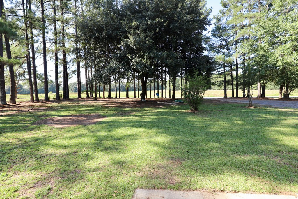 5755 Cane Savannah Road Wedgefield, SC 29168 - Photo 8 of 73 Gallery Image 8