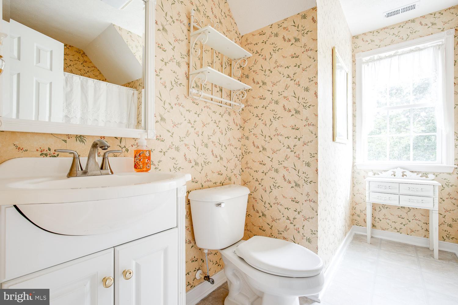 23210 Friendship Road Ruther Glen, VA 22546 - Photo 43 of 58 Hall bathroom with lots of charm