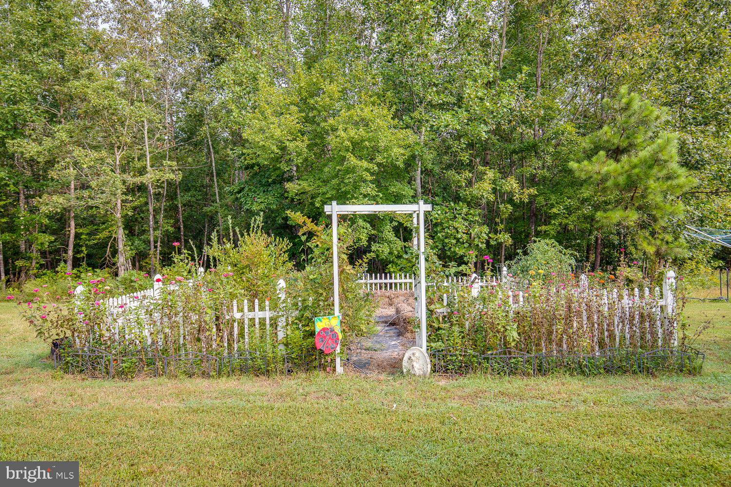 23210 Friendship Road Ruther Glen, VA 22546 - Photo 49 of 58 Garden area in back yard