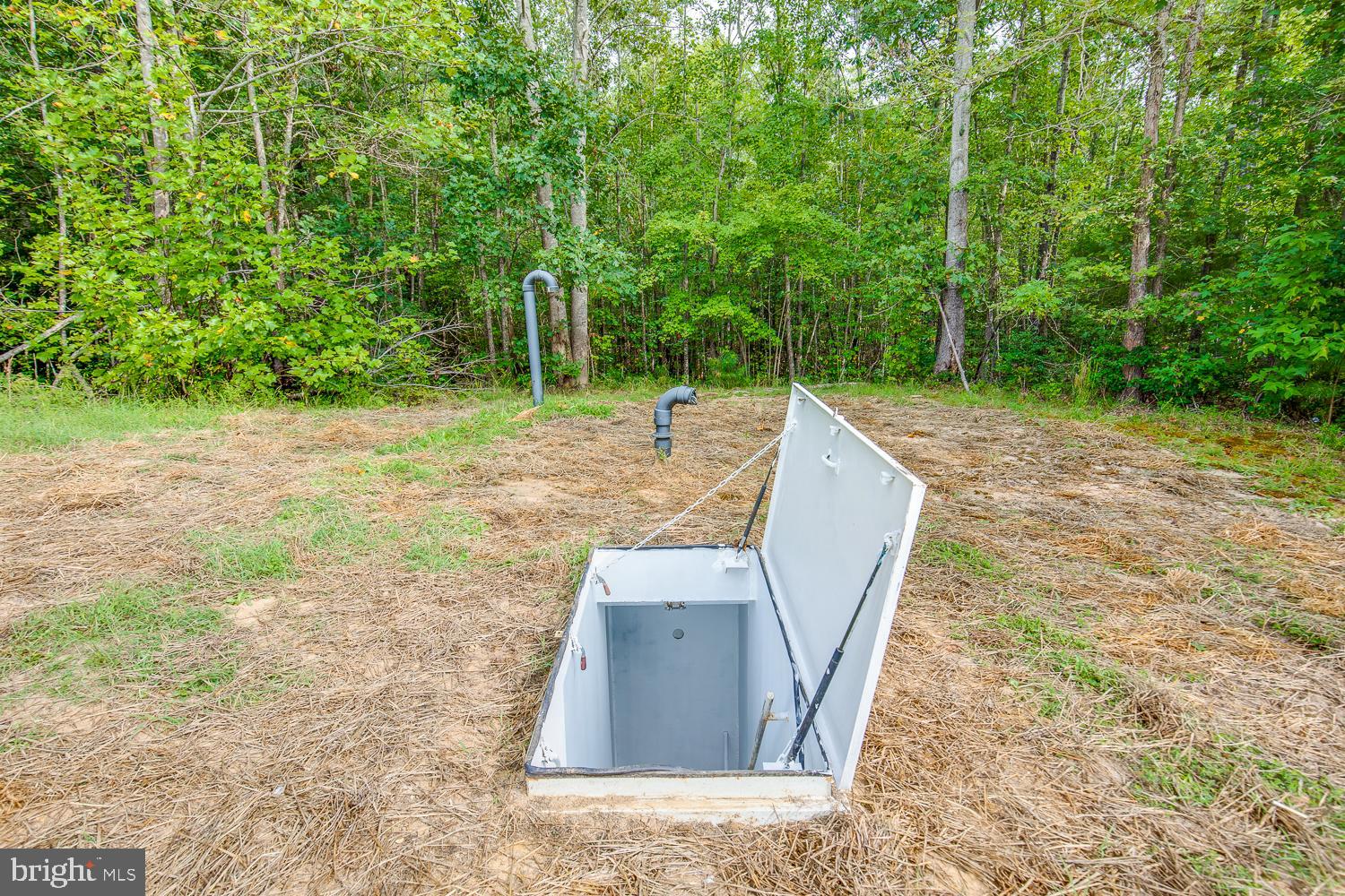 23210 Friendship Road Ruther Glen, VA 22546 - Photo 52 of 58 Entrance to bunker/storm shelter
