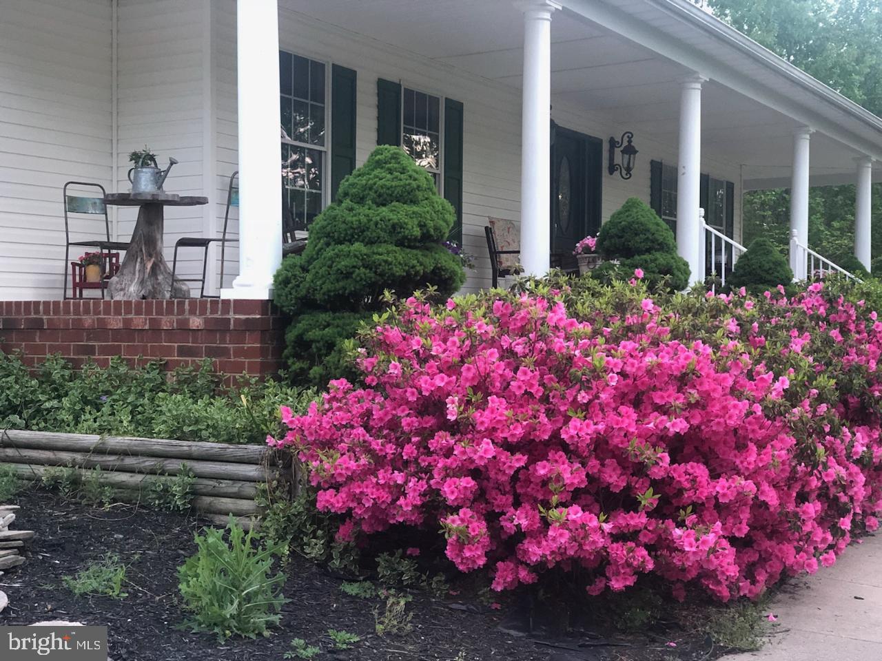 23210 Friendship Road Ruther Glen, VA 22546 - Photo 56 of 58 Beautiful azaleas bloom in the Spring
