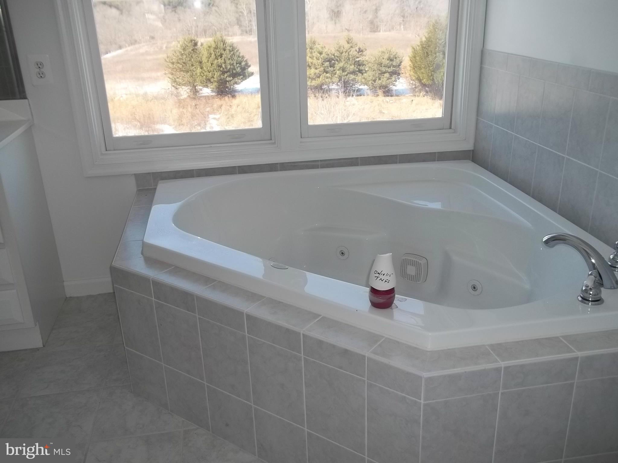 9546 Dr Perry Road Frederick, MD 21704 - Photo 5 of 14 Bath (Master)