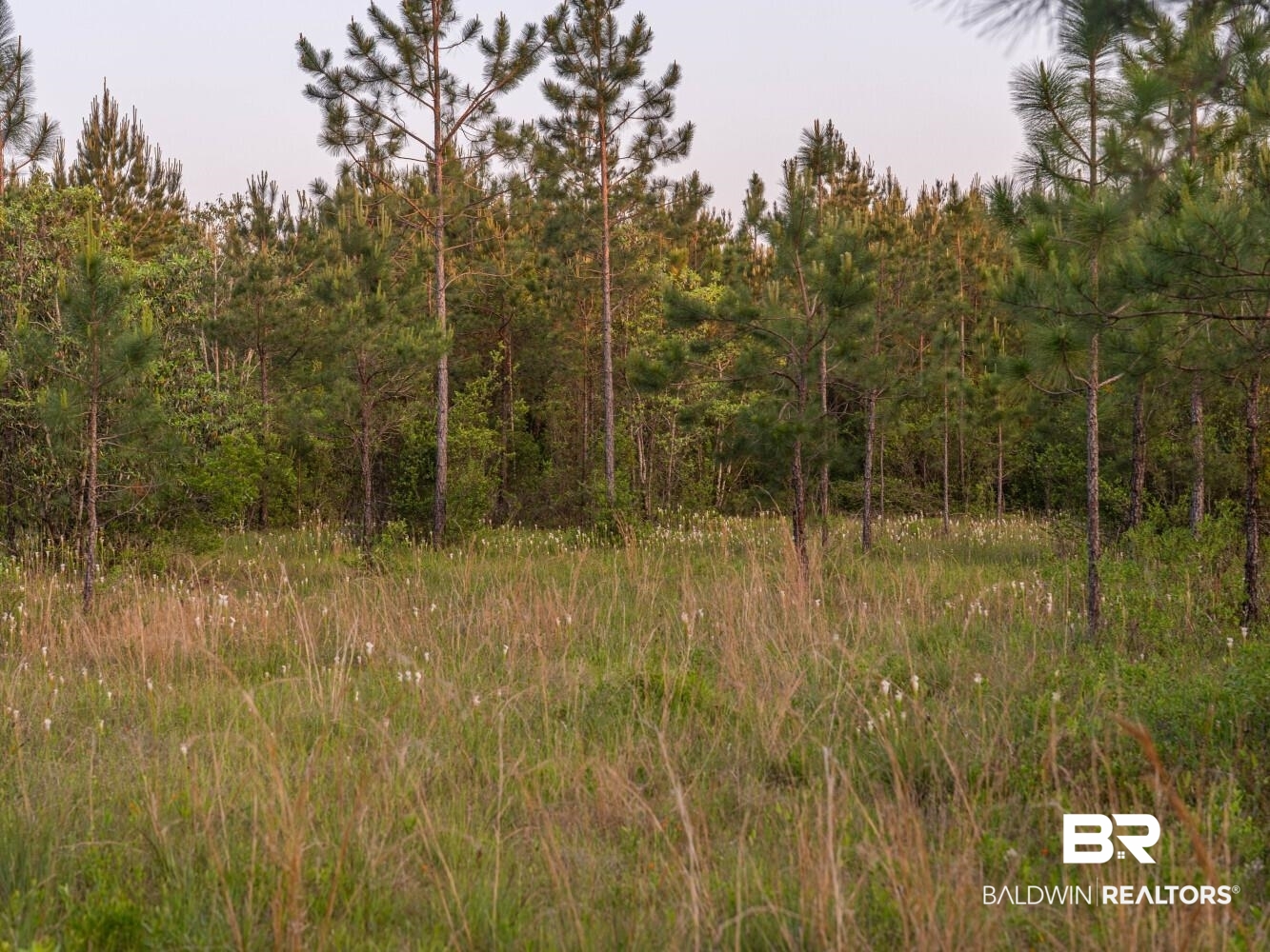 0 Lonnie Hadley Road Perdido, AL 36562 - Photo 27 of 39