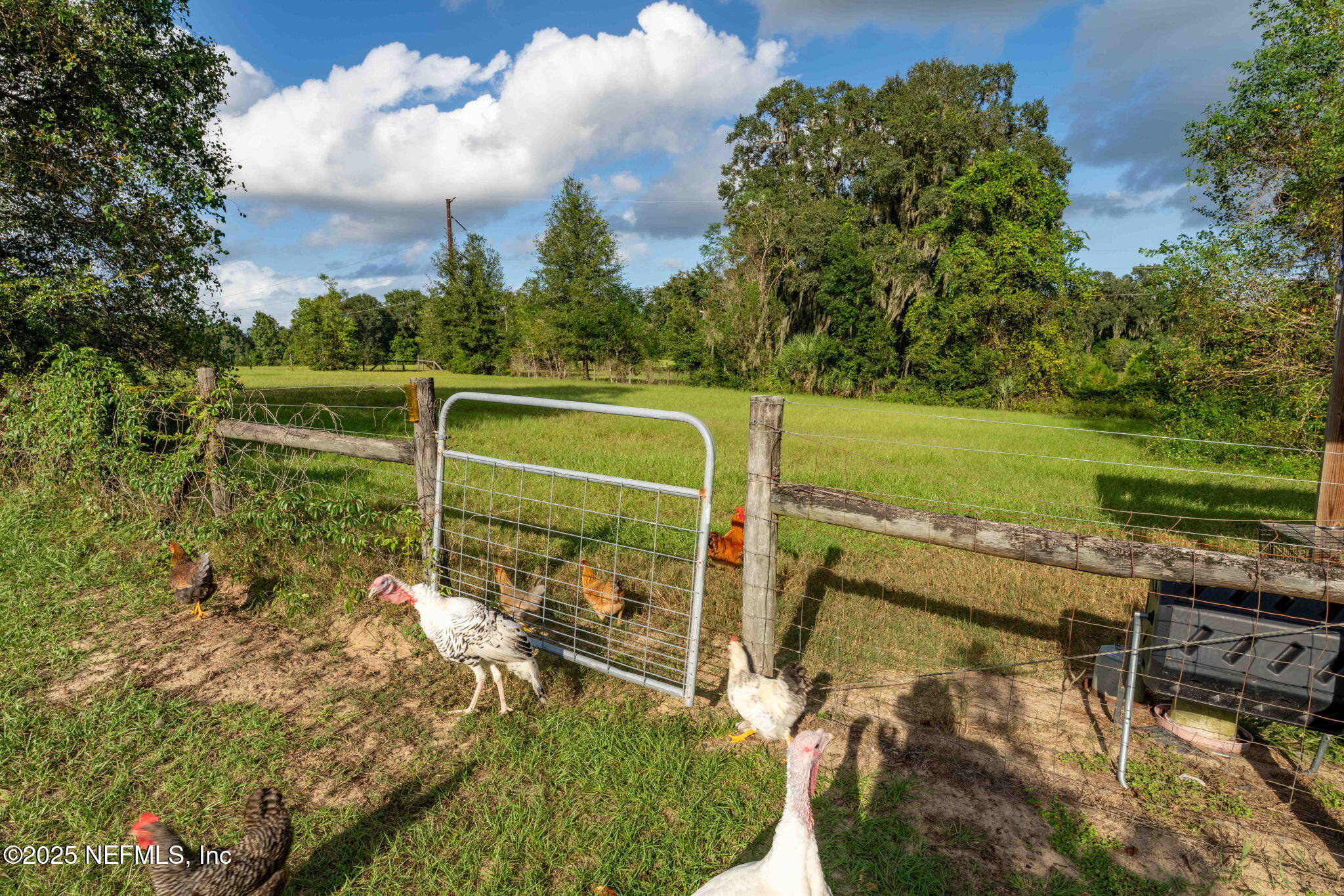 105 Dairy Road Melrose, FL 32666 - Photo 91 of 91 92